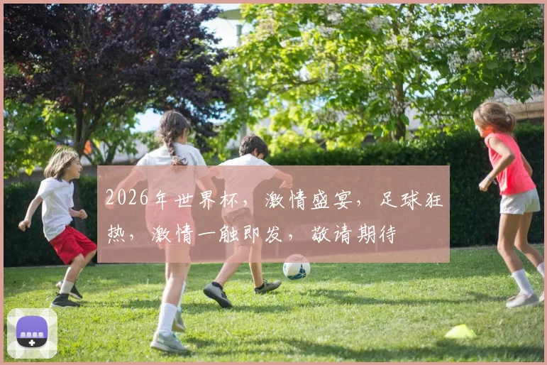 2026年世界杯，激情盛宴，足球狂热，激情一触即发，敬请期待