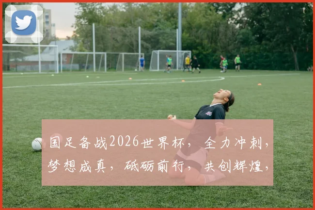 国足备战2026世界杯，全力冲刺，梦想成真，砥砺前行，共创辉煌，挑战世界