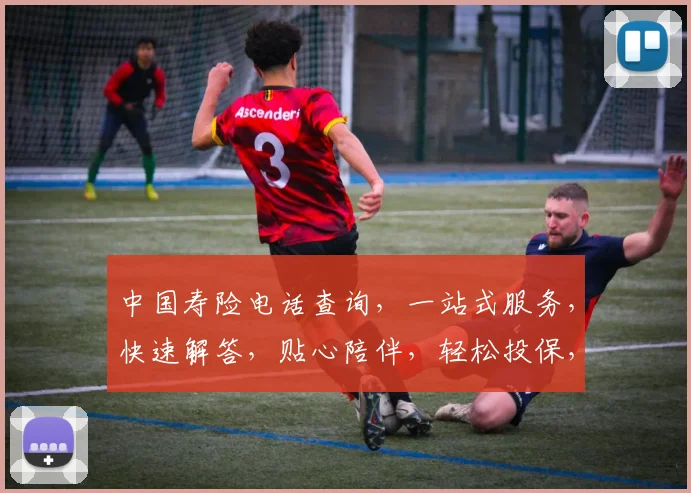 中国寿险电话查询，一站式服务，快速解答，贴心陪伴，轻松投保，三大优势为您护航