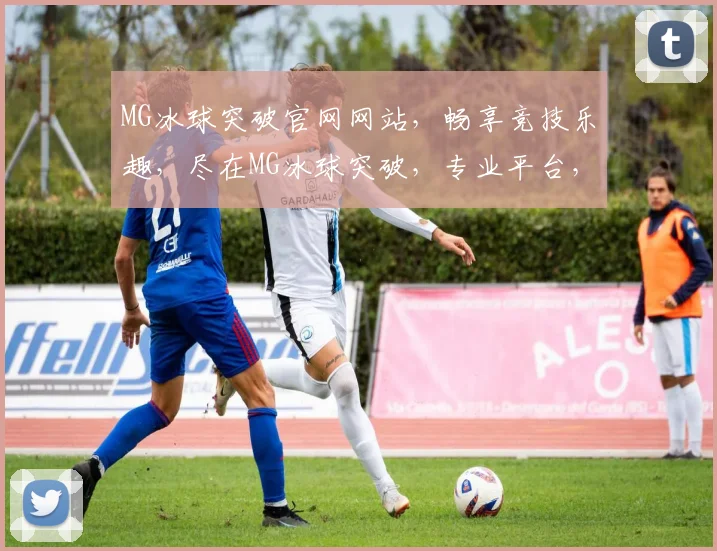 MG冰球突破官网网站，畅享竞技乐趣，尽在MG冰球突破，专业平台，体验非凡