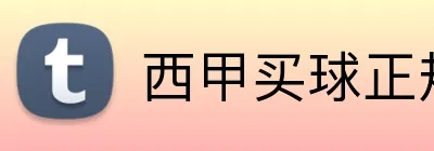 西甲买球正规网站 Logo